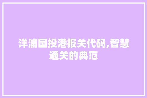 洋浦国投港报关代码,智慧通关的典范