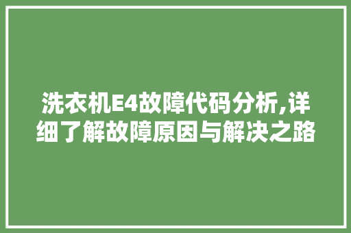 洗衣机E4故障代码分析,详细了解故障原因与解决之路