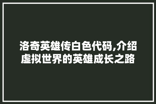 洛奇英雄传白色代码,介绍虚拟世界的英雄成长之路