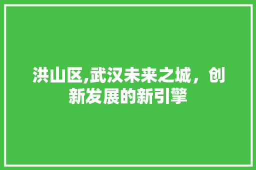 洪山区,武汉未来之城，创新发展的新引擎