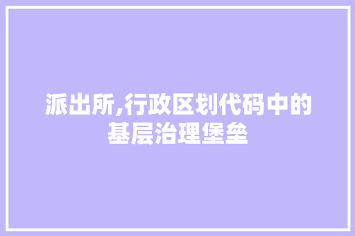 派出所,行政区划代码中的基层治理堡垒