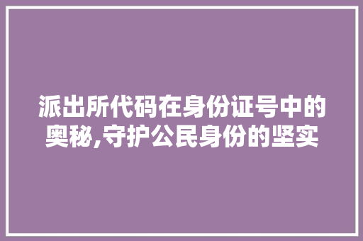 派出所代码在身份证号中的奥秘,守护公民身份的坚实屏障