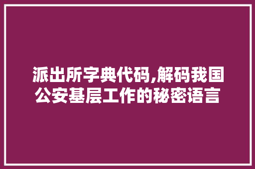 派出所字典代码,解码我国公安基层工作的秘密语言