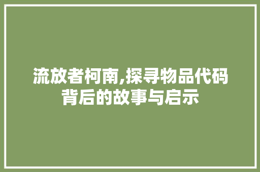 流放者柯南,探寻物品代码背后的故事与启示