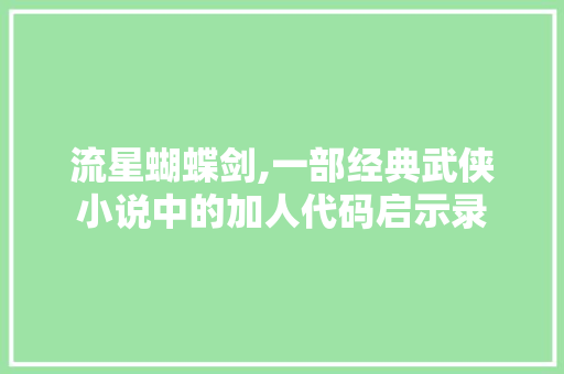 流星蝴蝶剑,一部经典武侠小说中的加人代码启示录