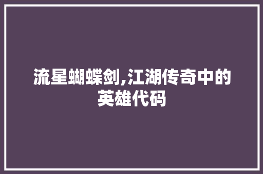 流星蝴蝶剑,江湖传奇中的英雄代码