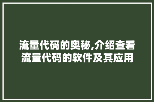 流量代码的奥秘,介绍查看流量代码的软件及其应用