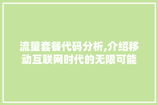 流量套餐代码分析,介绍移动互联网时代的无限可能