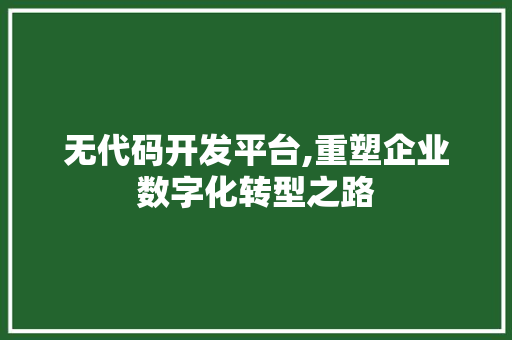 无代码开发平台,重塑企业数字化转型之路