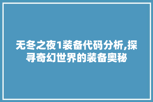 无冬之夜1装备代码分析,探寻奇幻世界的装备奥秘