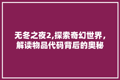 无冬之夜2,探索奇幻世界，解读物品代码背后的奥秘