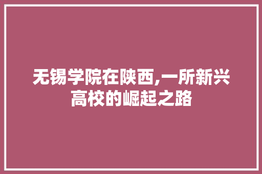 无锡学院在陕西,一所新兴高校的崛起之路