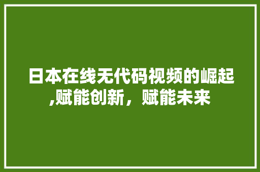 日本在线无代码视频的崛起,赋能创新，赋能未来