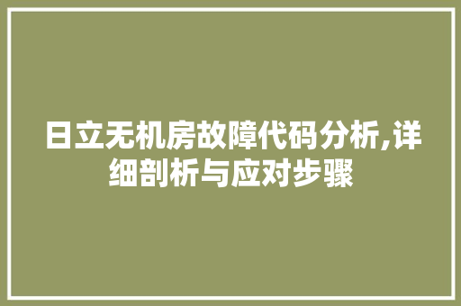 日立无机房故障代码分析,详细剖析与应对步骤