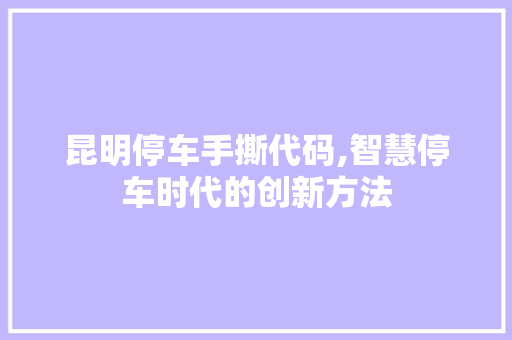 昆明停车手撕代码,智慧停车时代的创新方法