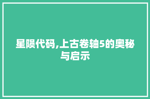 星陨代码,上古卷轴5的奥秘与启示