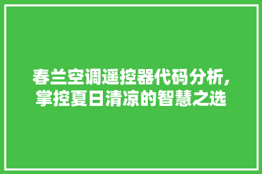 春兰空调遥控器代码分析,掌控夏日清凉的智慧之选