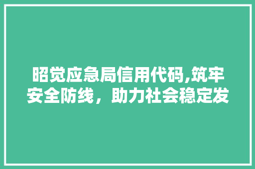 昭觉应急局信用代码,筑牢安全防线，助力社会稳定发展