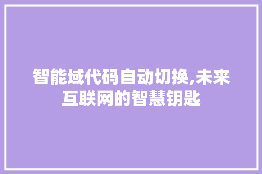 智能域代码自动切换,未来互联网的智慧钥匙