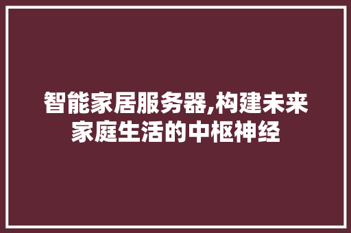 智能家居服务器,构建未来家庭生活的中枢神经