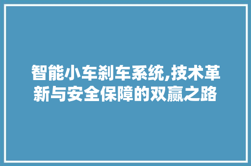 智能小车刹车系统,技术革新与安全保障的双赢之路