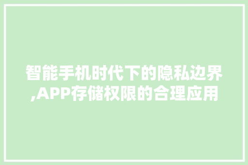 智能手机时代下的隐私边界,APP存储权限的合理应用与伦理考量