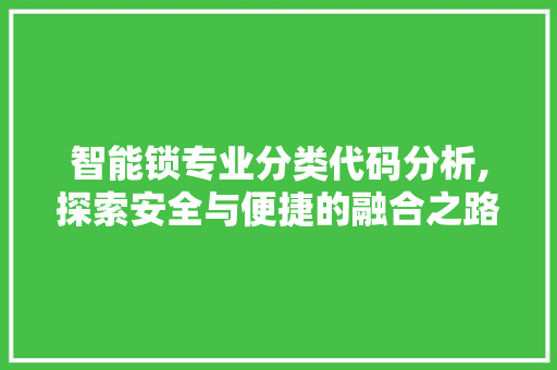 智能锁专业分类代码分析,探索安全与便捷的融合之路