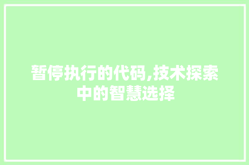 暂停执行的代码,技术探索中的智慧选择