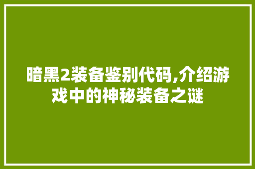 暗黑2装备鉴别代码,介绍游戏中的神秘装备之谜