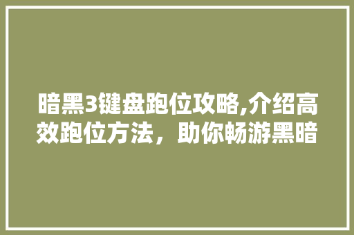 暗黑3键盘跑位攻略,介绍高效跑位方法，助你畅游黑暗世界