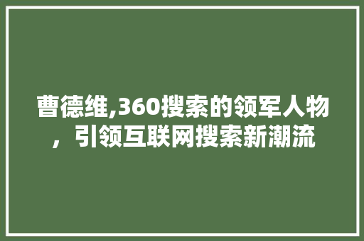 曹德维,360搜索的领军人物，引领互联网搜索新潮流