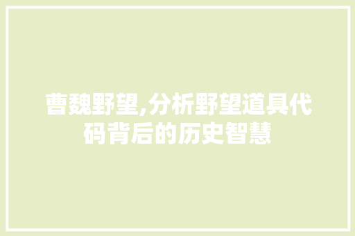 曹魏野望,分析野望道具代码背后的历史智慧