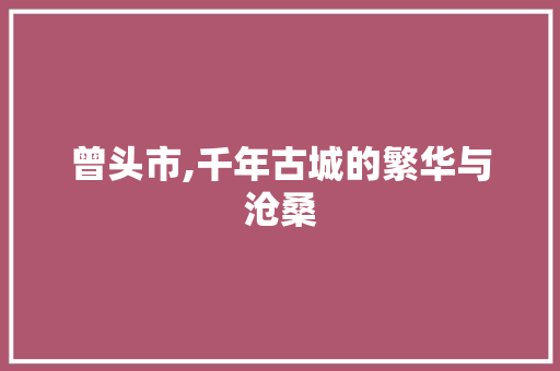 曾头市,千年古城的繁华与沧桑