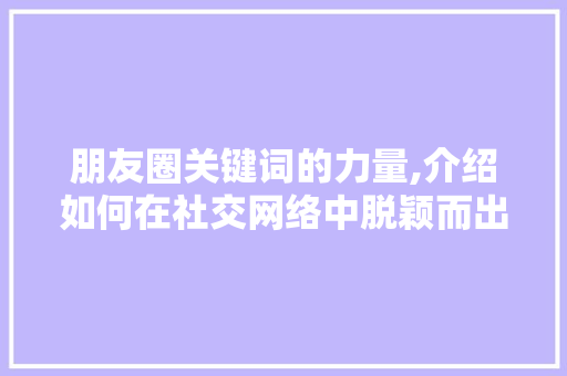 朋友圈关键词的力量,介绍如何在社交网络中脱颖而出