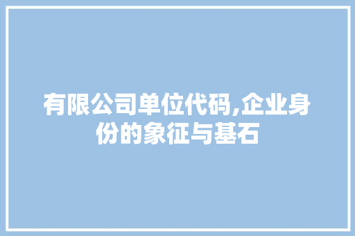 有限公司单位代码,企业身份的象征与基石