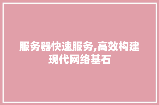 服务器快速服务,高效构建现代网络基石