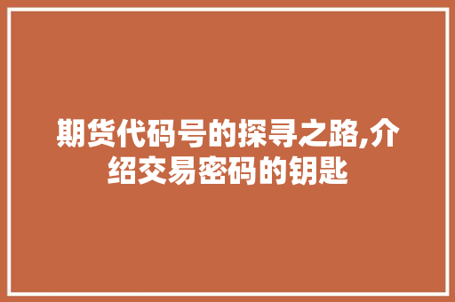 期货代码号的探寻之路,介绍交易密码的钥匙