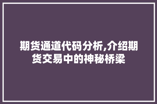 期货通道代码分析,介绍期货交易中的神秘桥梁