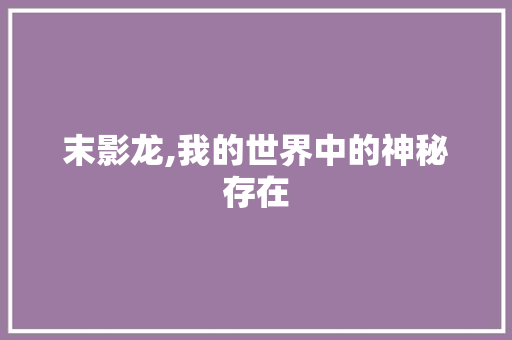 末影龙,我的世界中的神秘存在