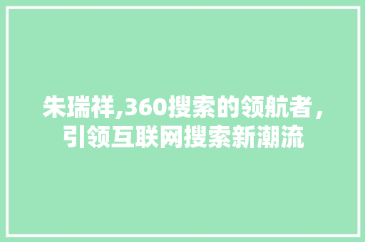 朱瑞祥,360搜索的领航者，引领互联网搜索新潮流