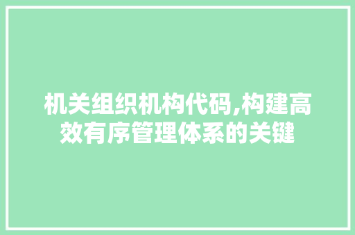 机关组织机构代码,构建高效有序管理体系的关键