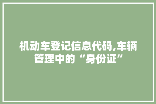 机动车登记信息代码,车辆管理中的“身份证”