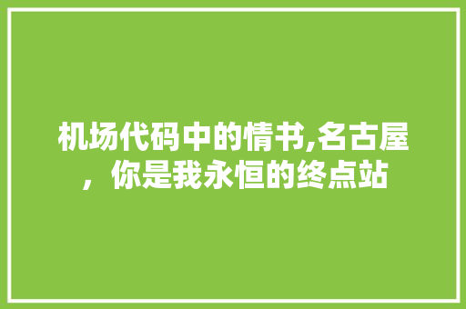 机场代码中的情书,名古屋，你是我永恒的终点站