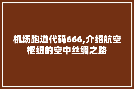 机场跑道代码666,介绍航空枢纽的空中丝绸之路