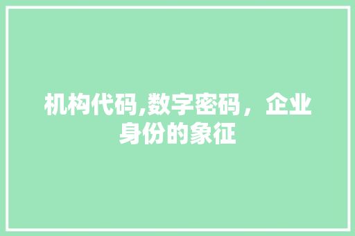 机构代码,数字密码，企业身份的象征