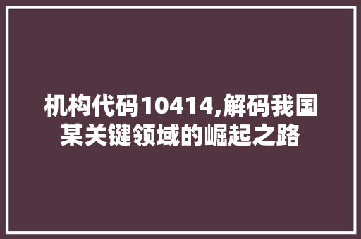 机构代码10414,解码我国某关键领域的崛起之路