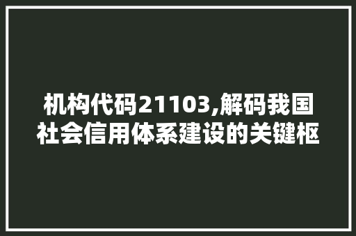 机构代码21103,解码我国社会信用体系建设的关键枢纽