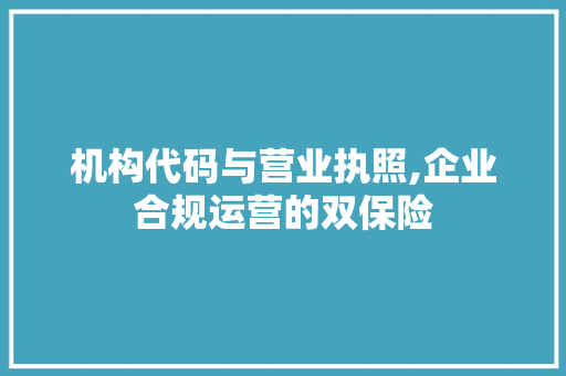 机构代码与营业执照,企业合规运营的双保险 SQL