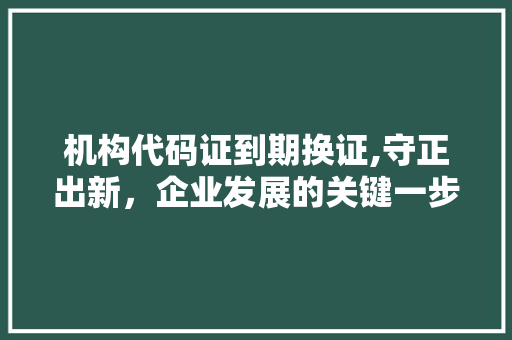 机构代码证到期换证,守正出新，企业发展的关键一步