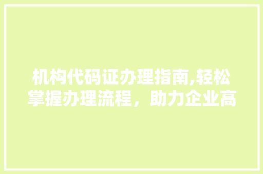 机构代码证办理指南,轻松掌握办理流程，助力企业高效运营